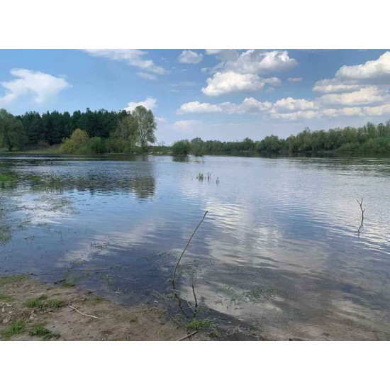 Унікальна земельна ділянка 9,5 га с. Вища Дубечня перша лінія р. Десна